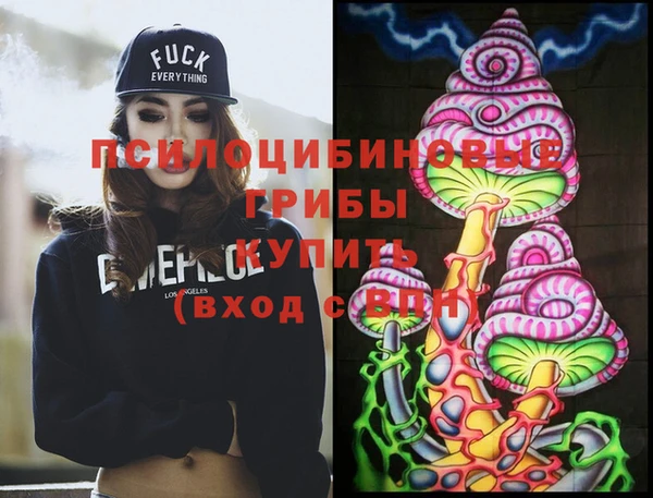 героин Алексин