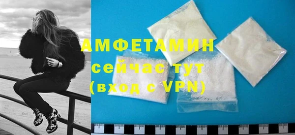 индика Алзамай