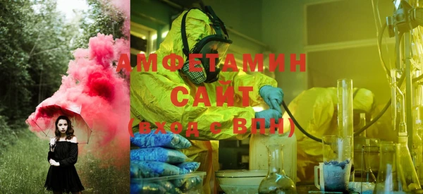 индика Алзамай
