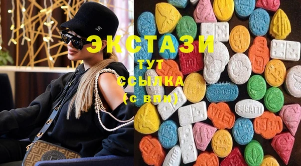 гашик Горняк