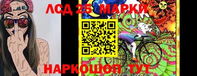 крисы Гулькевичи