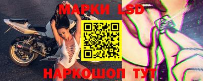 ALPHA PVP Гудермес
