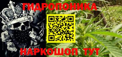 ALPHA PVP Гудермес