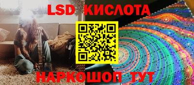 ALPHA PVP Гудермес